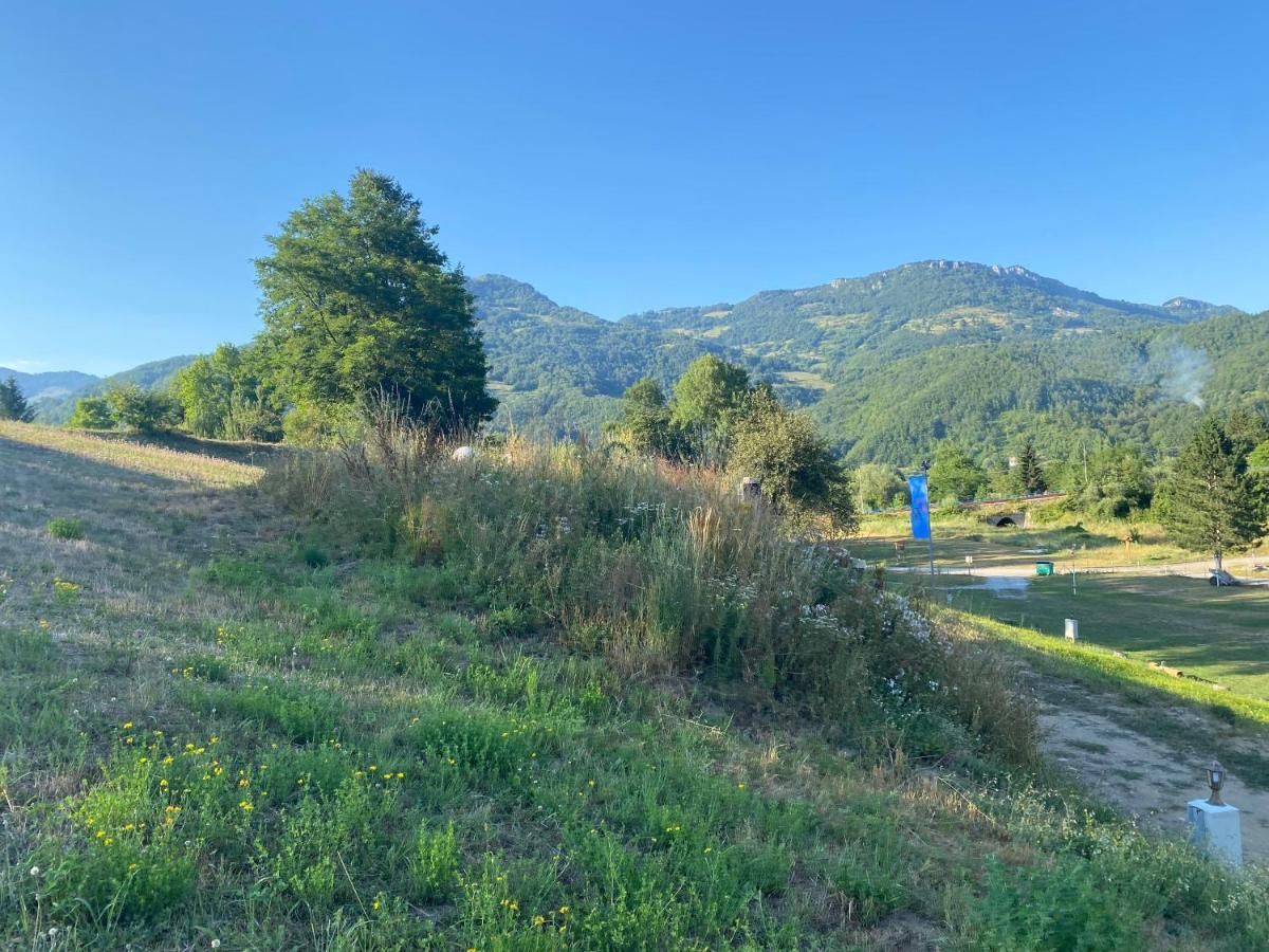 Tara Place - Camp Rabrenovic 莫伊科瓦茨 外观 照片