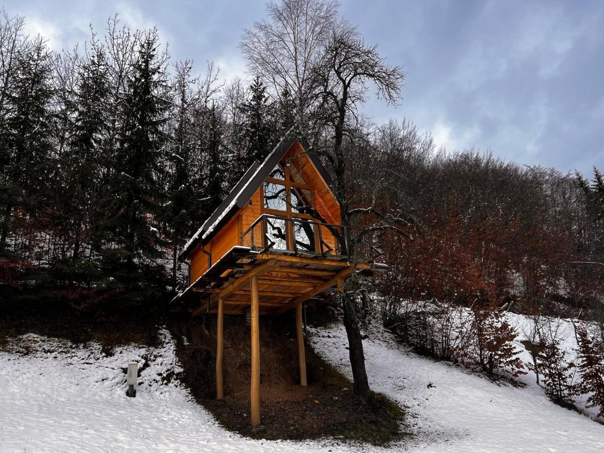 Tara Place - Camp Rabrenovic 莫伊科瓦茨 外观 照片